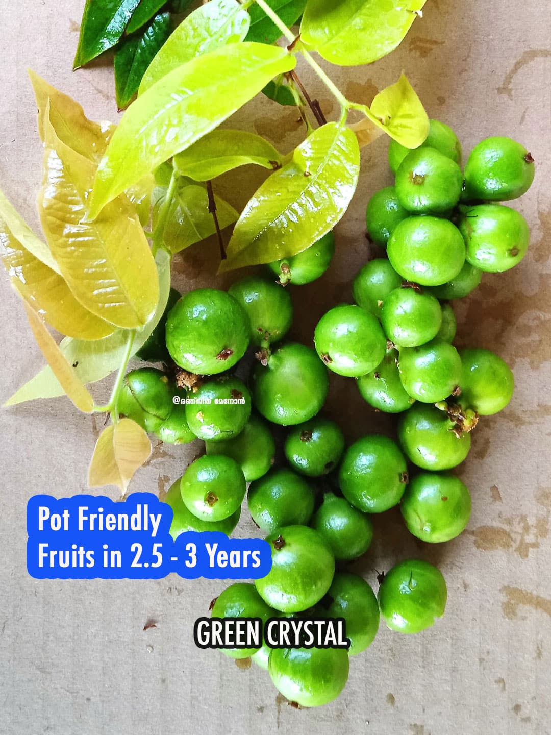Phitrantha Green Crystal