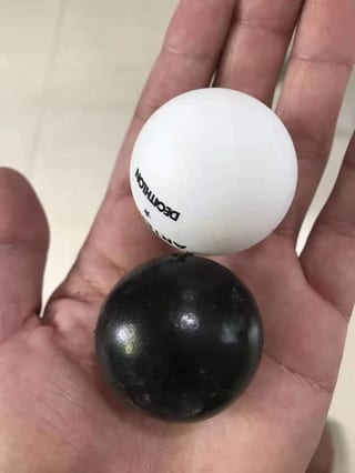 Jaboticaba Oblongata, image 2