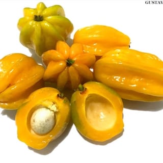 Eugenia Sellloi – Pitangatuba, image 2