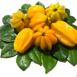 Eugenia Sellloi – Pitangatuba, image 3