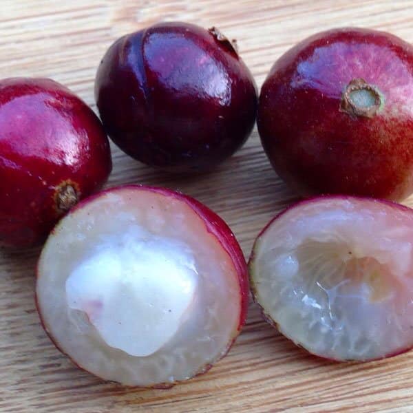 Jaboticaba Red Hybrid Fruits
